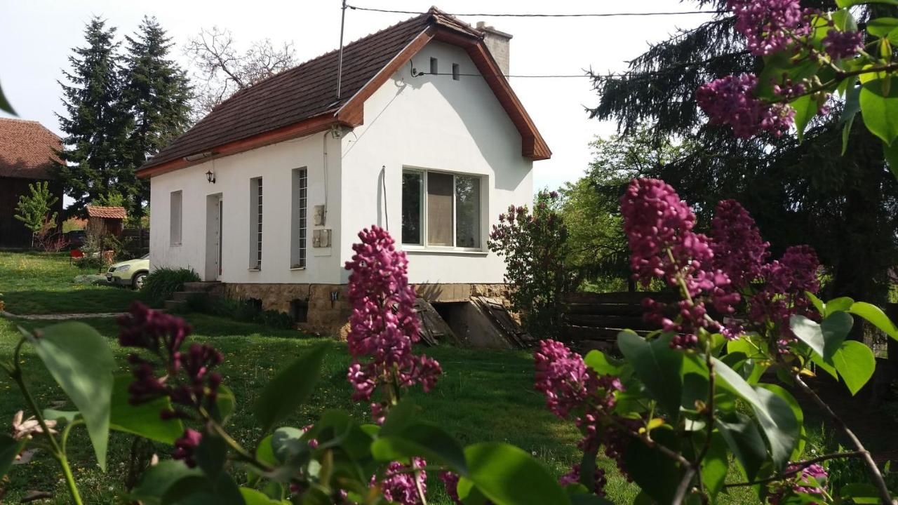 Дома для отпуска Dreamhome Valea Crişului