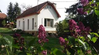 Дома для отпуска Dreamhome Valea Crişului Дом с 1 спальней-1